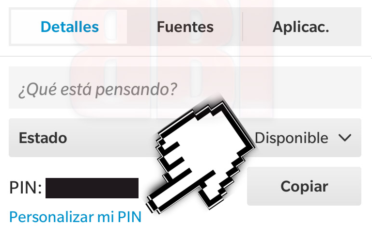 personalizar_pin_bbm